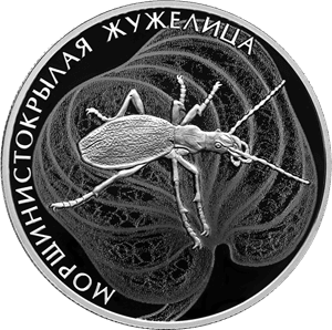 Серебряная монета 2 рубля «Морщинистокрылая жужелица», 2024 — реверс